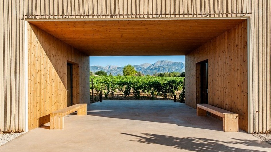 Celler de vins ecològics Nacra - imatge 2