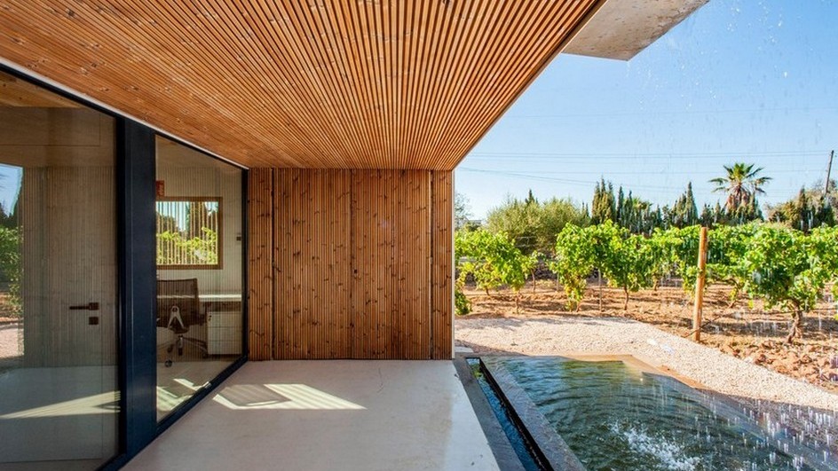 Celler de vins ecològics Nacra - imatge 4