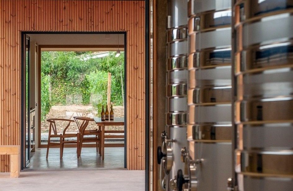 Celler de vins ecològics Nacra - imatge 5