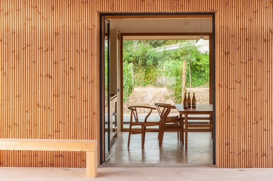 Celler de vins ecològics Nacra - imatge 6