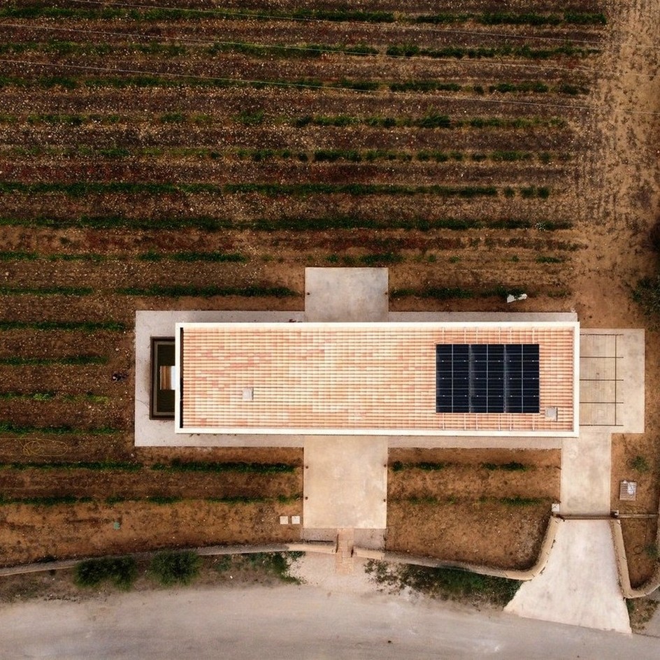Celler de vins ecològics Nacra - imatge 9