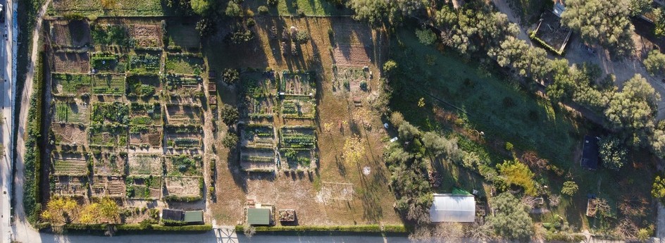 Rehabilitació del Parc des Serral de ses Monges - imatge 2
