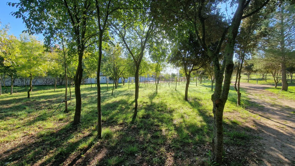 Rehabilitació del Parc des Serral de ses Monges