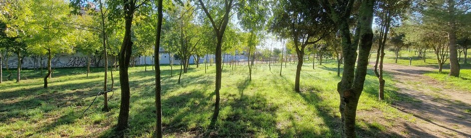 Projecte del Parc des Serral