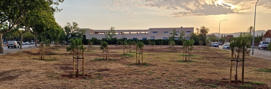 Projecte de mitigació de l'illa de calor - imatge 2
