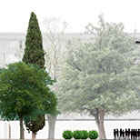 Projecte d’enjardinament