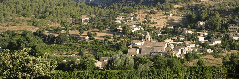 Modificació i adaptació del catàleg de Patrimoni de Puigpunyent