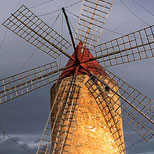 Catàleg d’Algaida